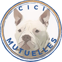 Cici Mutuelles